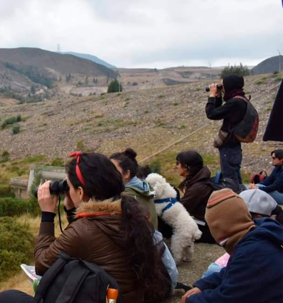 Las mejores ofertas para vivir una experiencia única de avistamiento de aves en Usme!